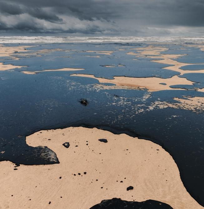 Нефтеразлив в море: возможные экологические последствия 