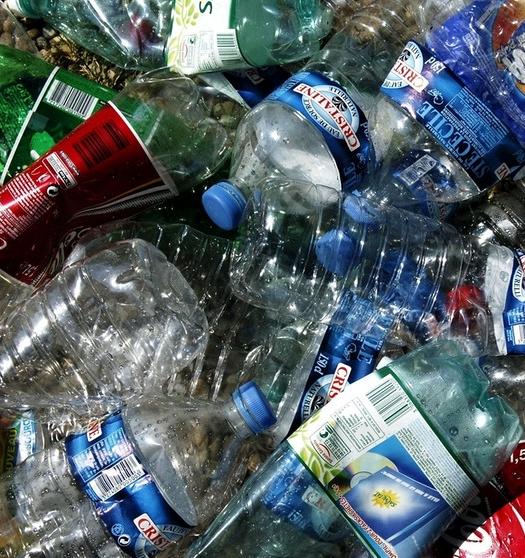 Мэр Пензы планирует ввести в городских школах раздельный сбор отходов