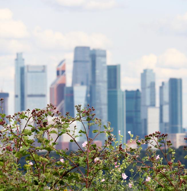 Удобная Москва: полезные и экологичные сервисы для жизни 