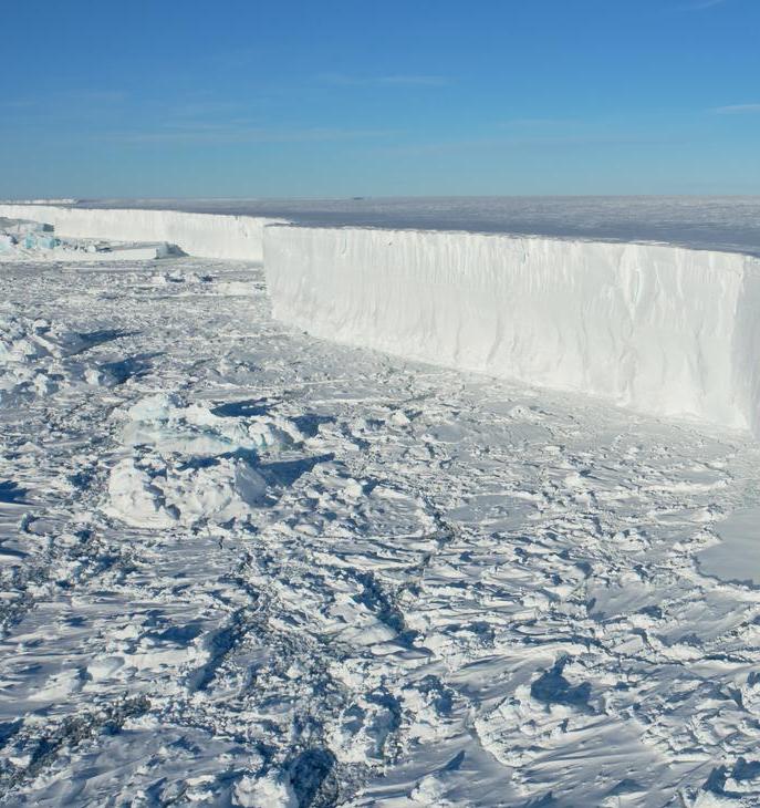 В арктических морях летняя температура воды выросла на 90%