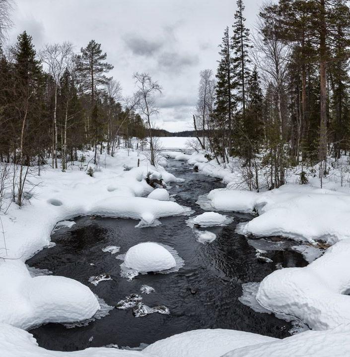 Изменения климата на реках Карелии приводят к зимним паводкам 