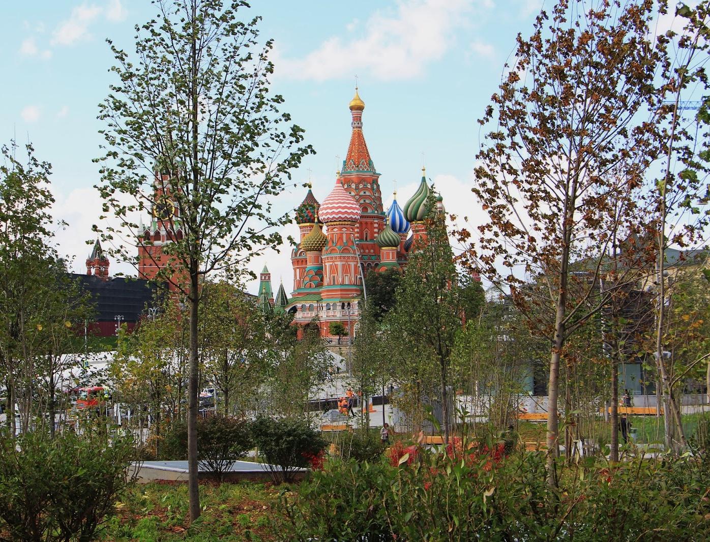 В Москве ужесточают ответственность за нанесение вреда деревьям