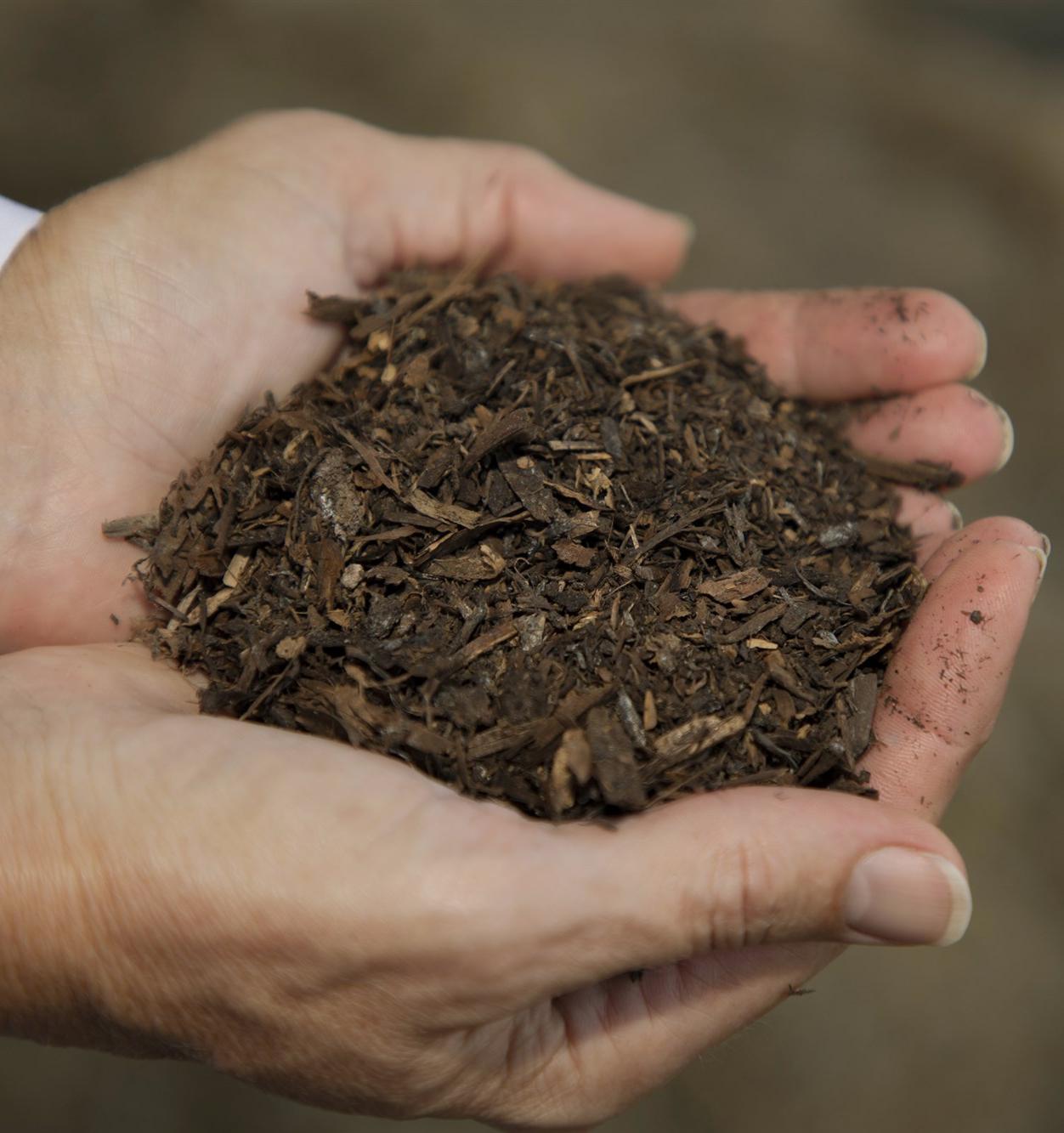 Как традиционное погребение хотят заменить экологичным компостированием