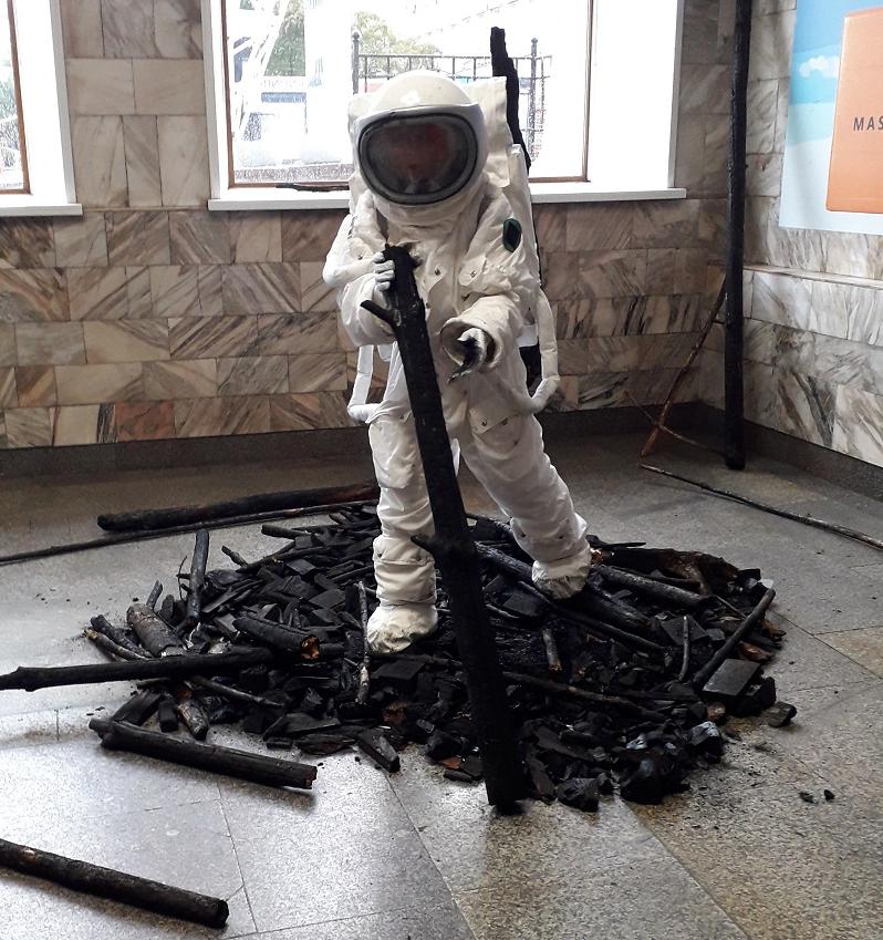 Художница из Берлина посвятила арт-объект сибирским пожарам