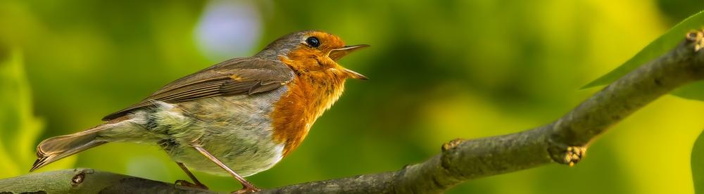 Ученые: воздух в деревне загрязнен микропластиком сильнее 