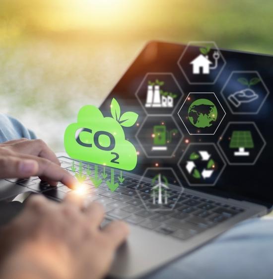 ТОП-5 интересных экостартапов Москвы 