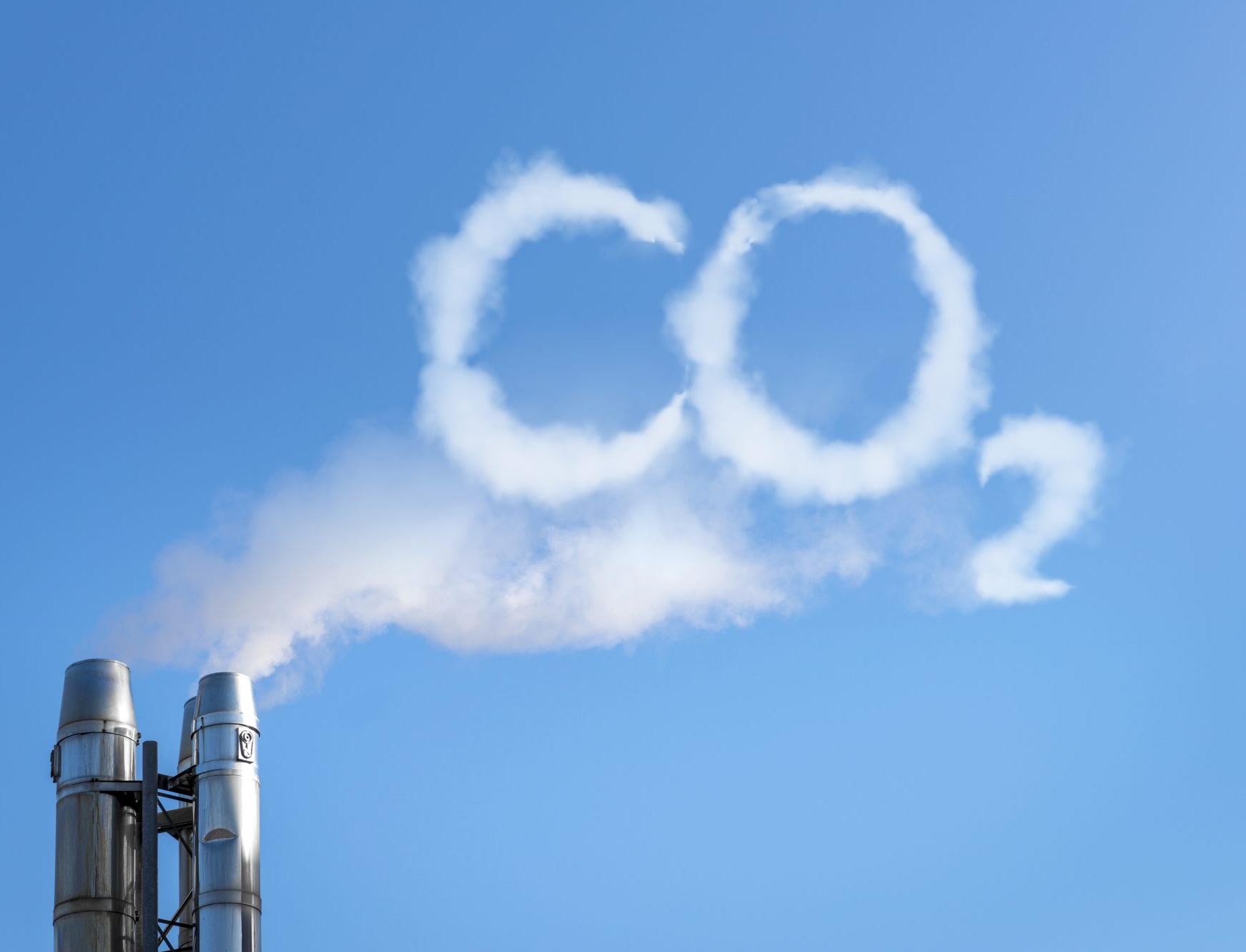 Спасти от углеродного налога смогут карбоновые фирмы