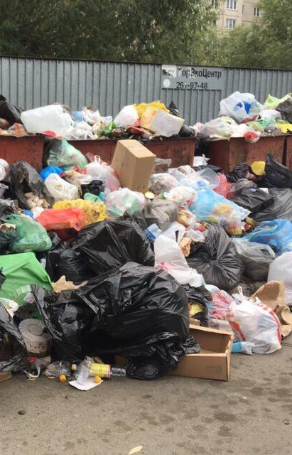 В Челябинске ввели режим повышенной опасности из-за мусорного коллапса