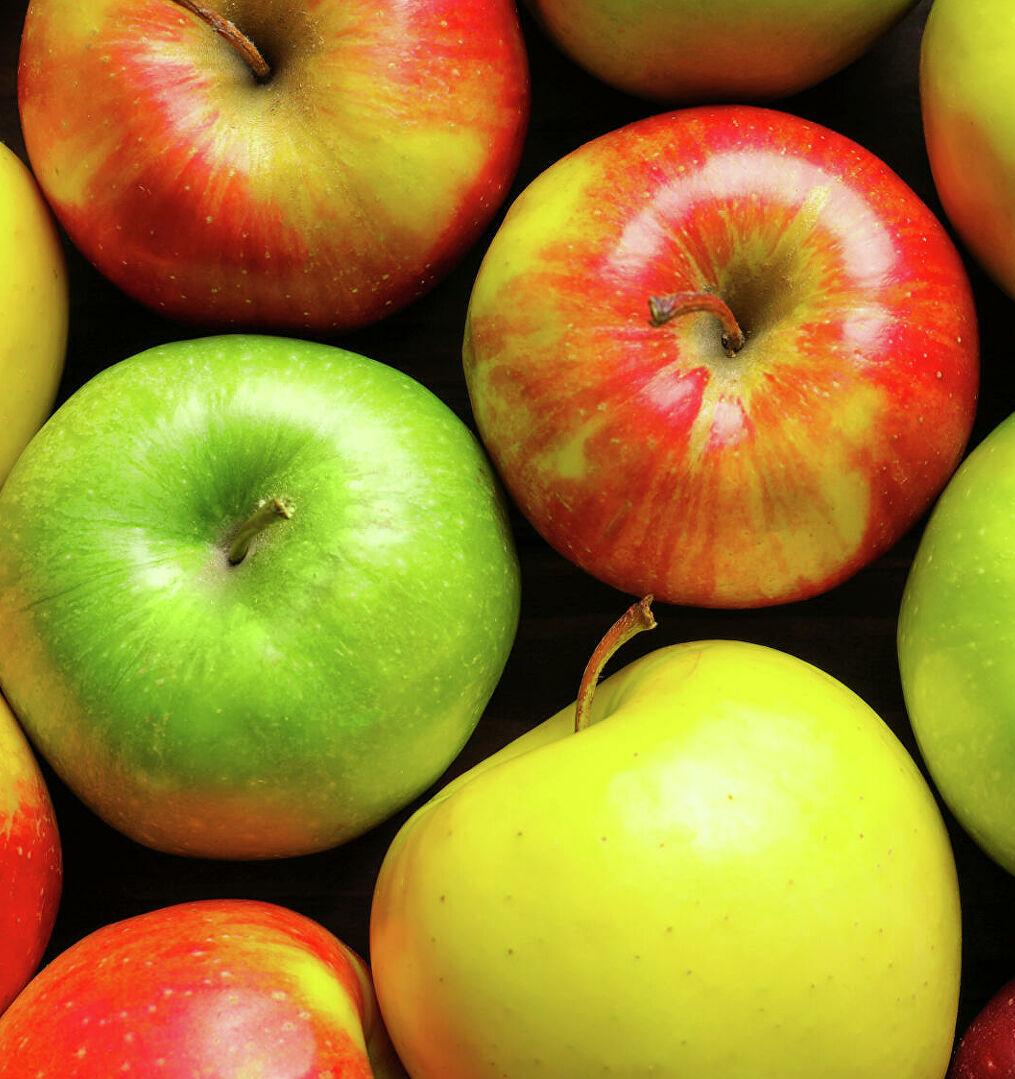 Фудшеринг поможет спасти сезонный урожай яблок
