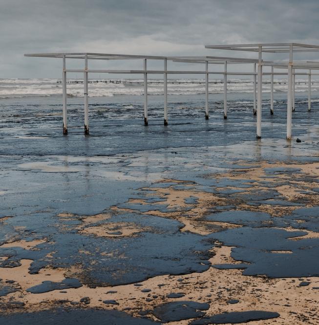 Сделать Черное море менее черным: как люди очищают побережье от мазута