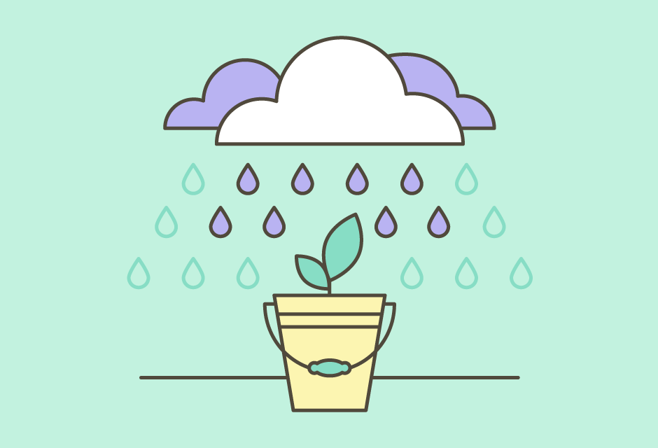 Собирайте дождевую воду для полива на даче