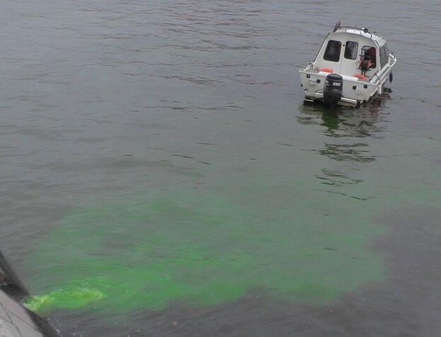 «Зеленая жидкость», попавшая в Москву-реку, не представляет опасности