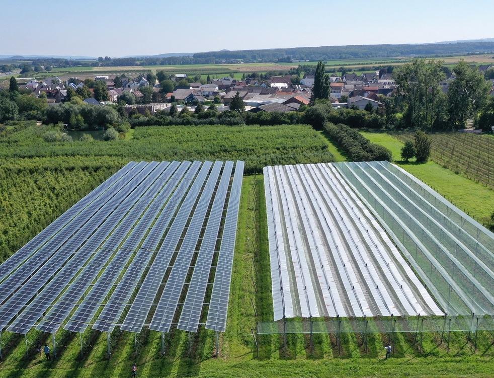 В Германии будут выращивать яблоки за счет солнечной энергии