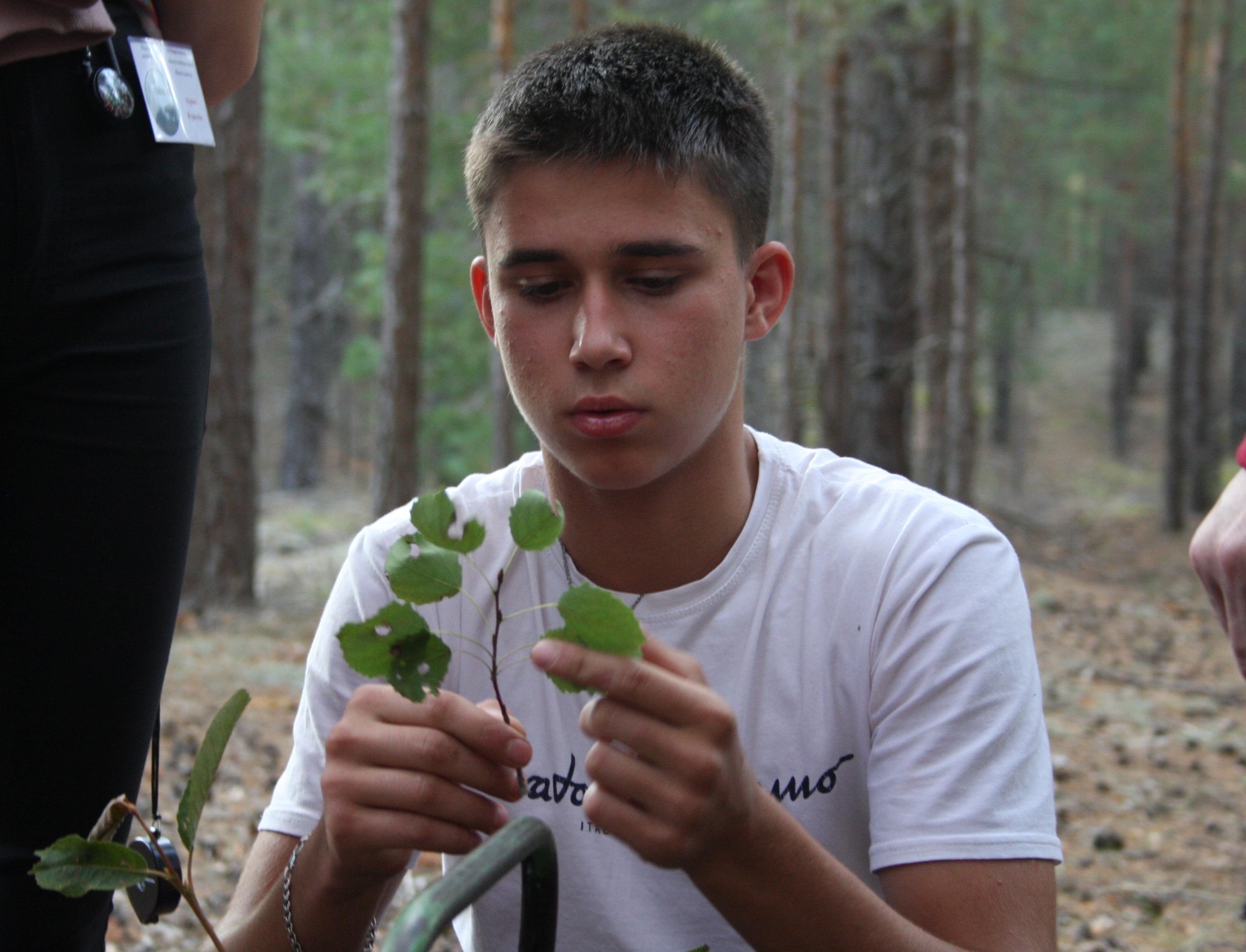 Школьники из лесничеств и экообъединений представили проекты на фестивале «Живая планета» 