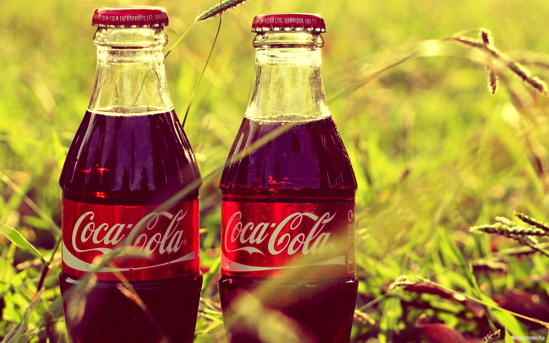 11 экологических инициатив Соса-Cola