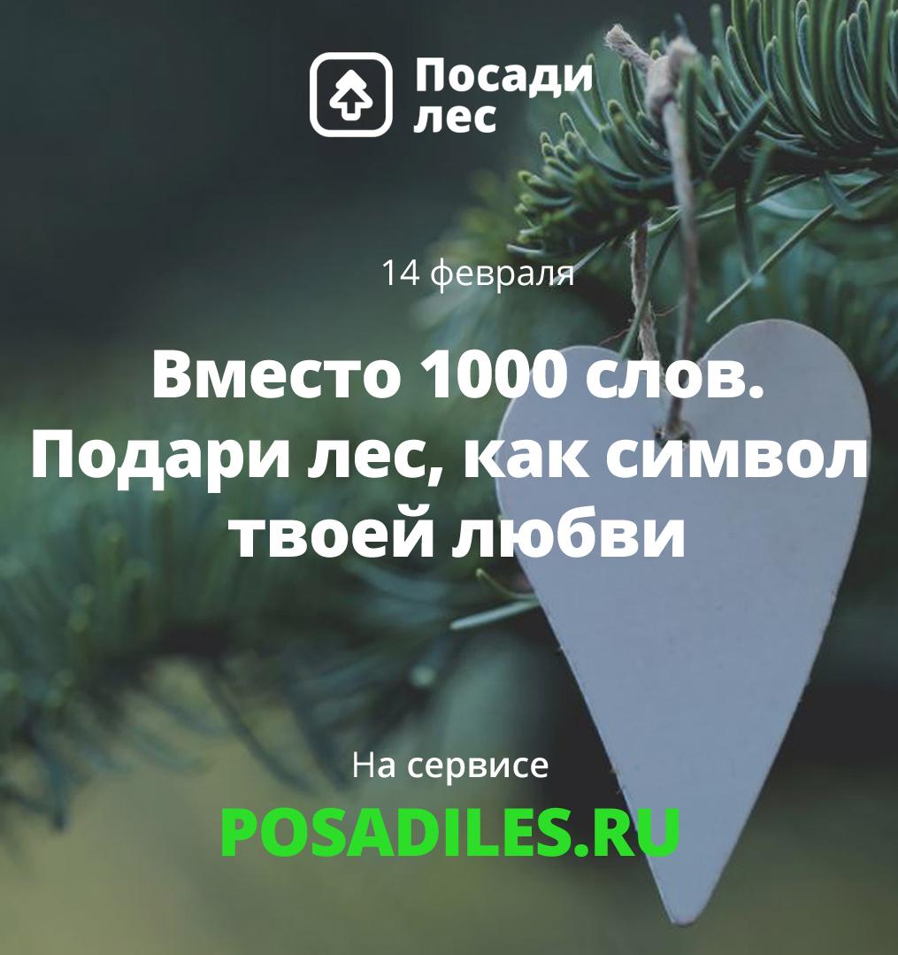 14 февраля россияне смогут подарить любимым лес
