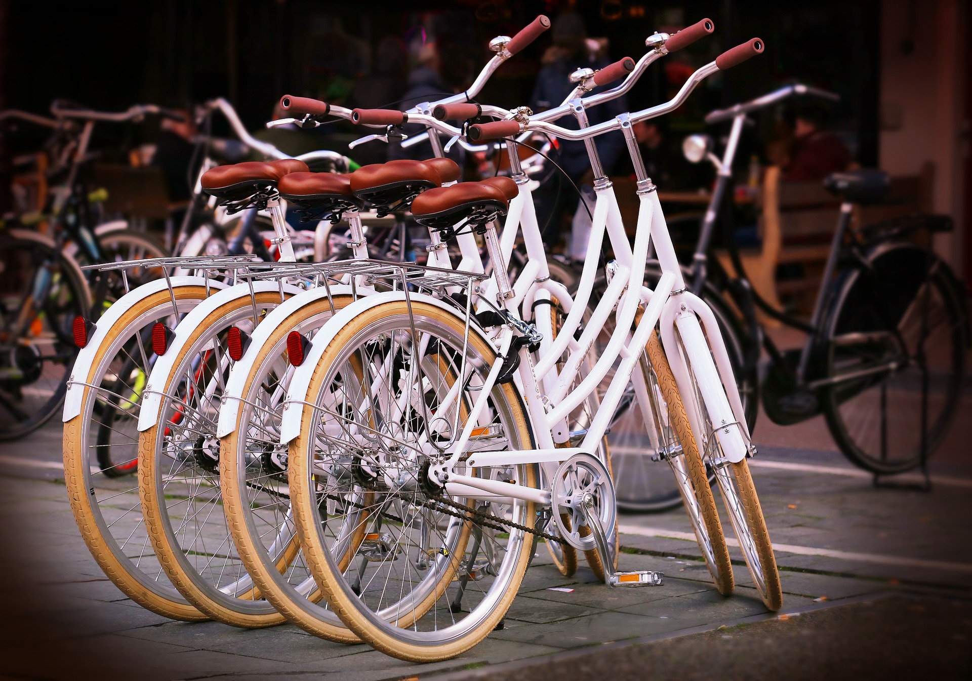 На Ленфильме покажут фильм о велосипедах и обсудят городскую экологию