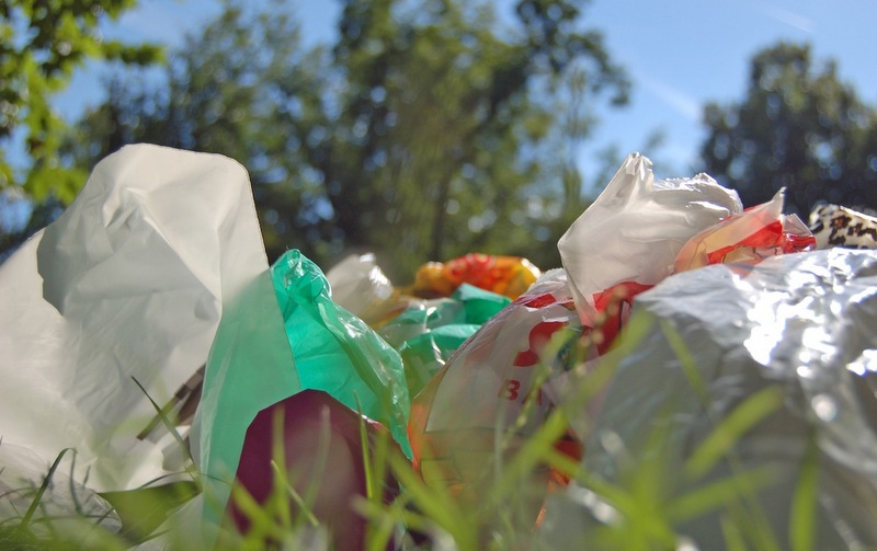 В 10 городах России пройдет День без пластиковых пакетов