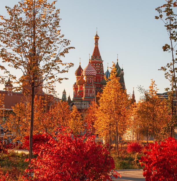 Парки Москвы: как совместить активности и экологичность 