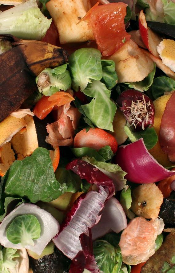 «Компост-мобиль» соберет пищевые отходы на переработку
