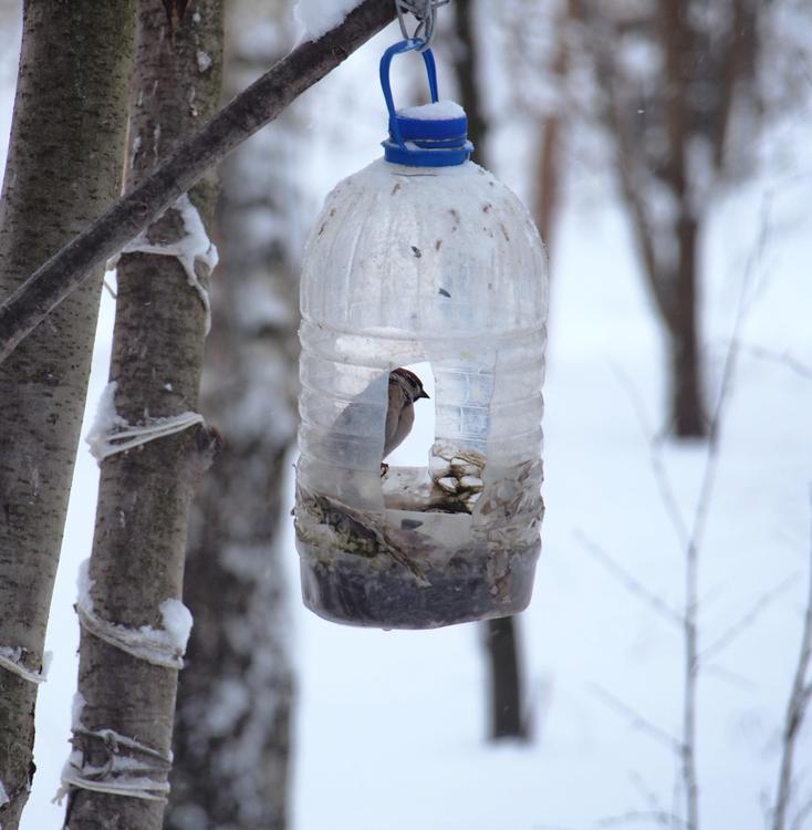 Жители Пензы объявили борьбу с пластиковыми кормушками 