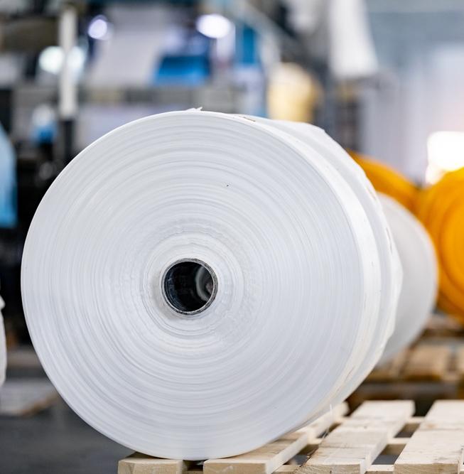 Ученые нашли грибок, разрушающий океанский пластик 