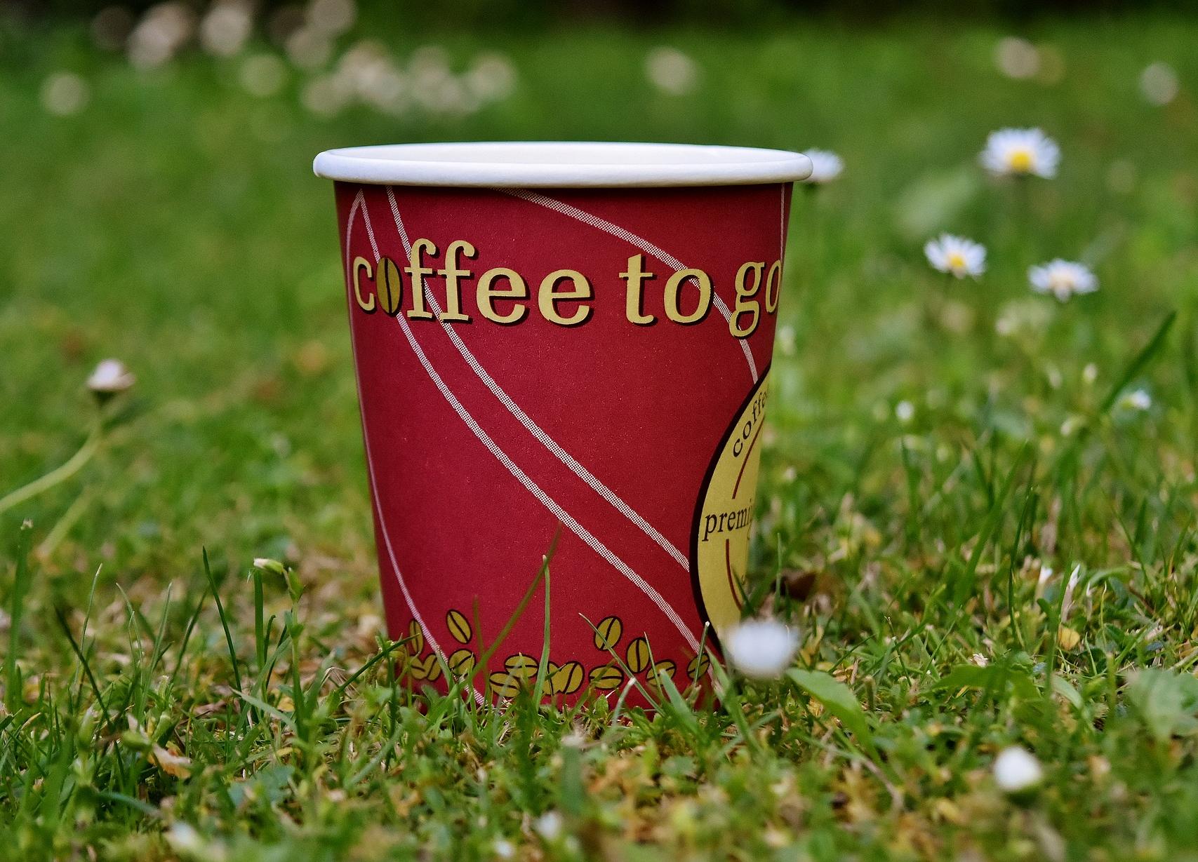 ЭкоLife: Почему кофейные стаканчики вредят окружающей среде и какие есть экологичные альтернативы