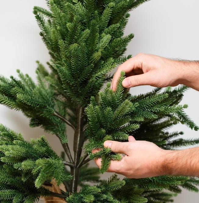 Врач-аллерголог считает искусственные елки более аллергенными 