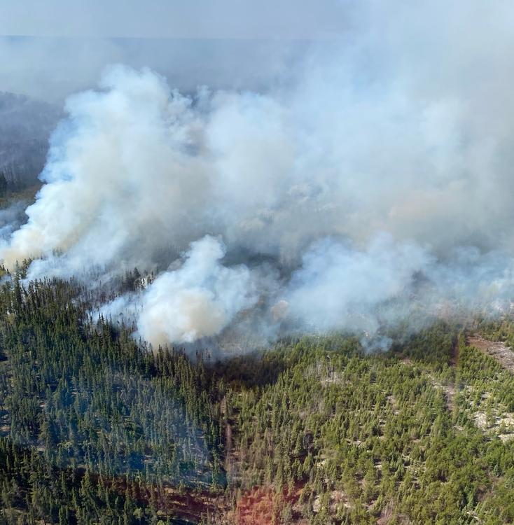 Ученые из Пензы научили ИИ прогнозировать лесные пожары 