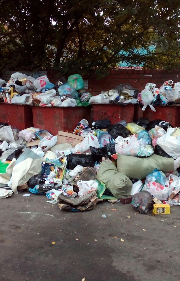 Фотогалерея: мусорный коллапс в Челябинске