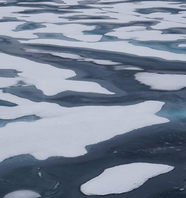 ООН бьет тревогу из-за сокращения морского льда