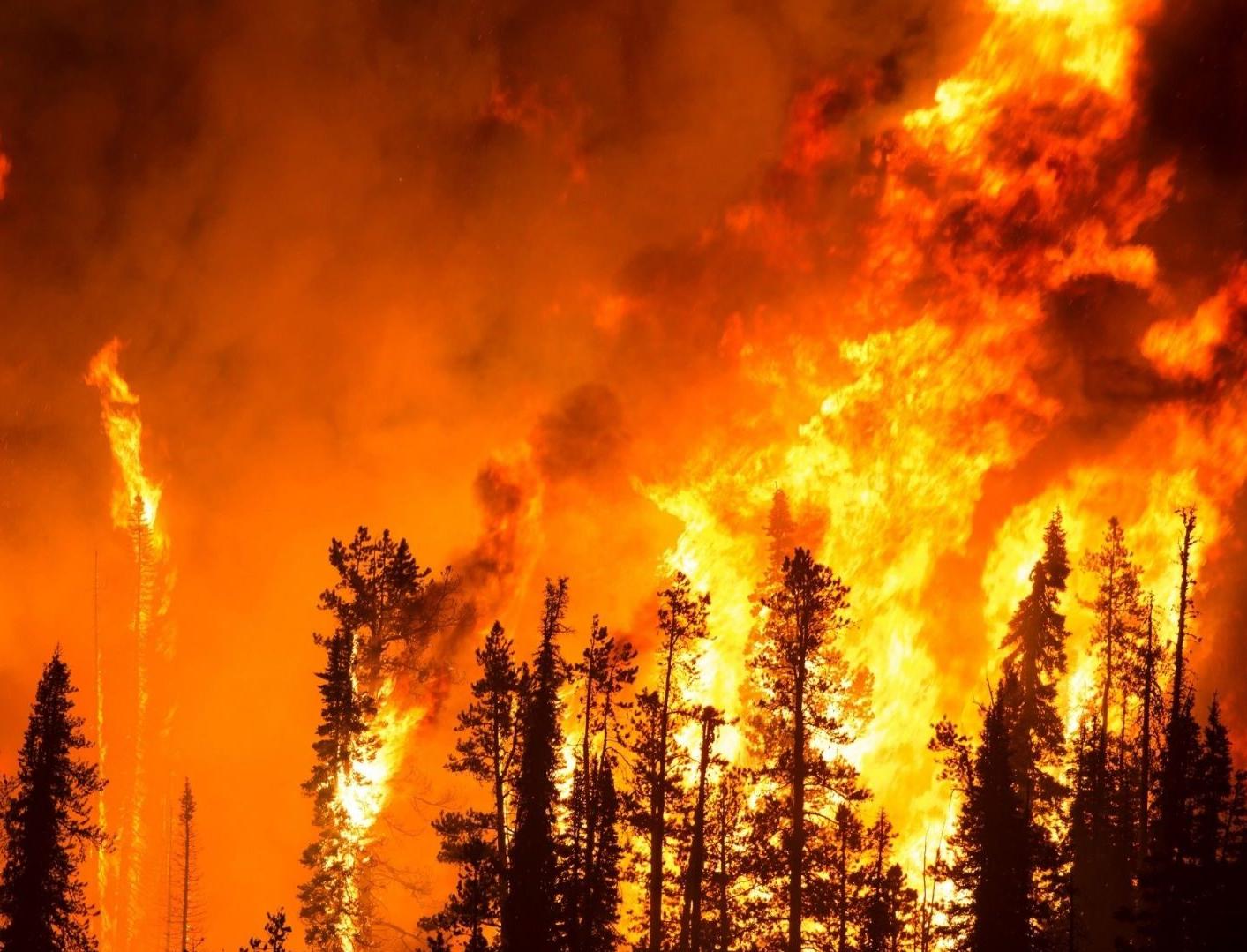 Запущен проект против природных пожаров «Горящие точки — 2020»
