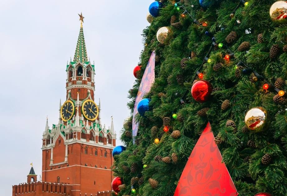 Кремлевскую елку отправят на переработку, а из ее шишек вырастят саженцы