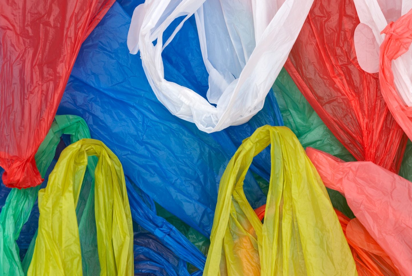 Ссылка дня: как работает самый жесткий в мире запрет на пластиковые пакеты