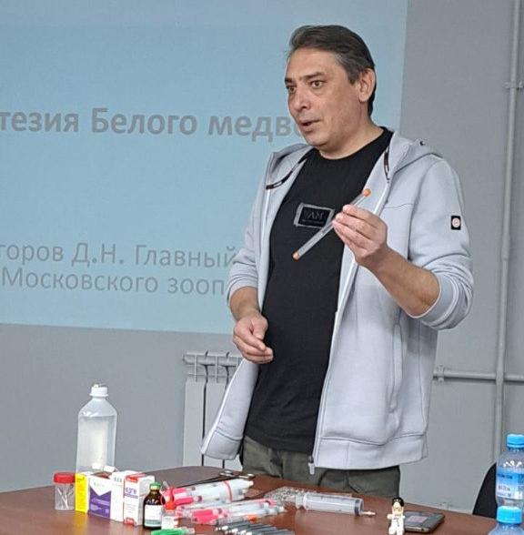 Жителям ЯНАО рассказали о поведении при встрече с белым медведем 