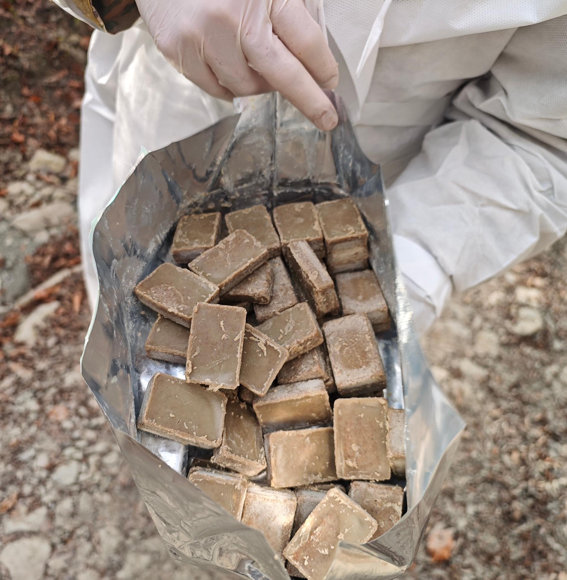 В Сочинском нацпарке начали вакцинировать животных от бешенства 