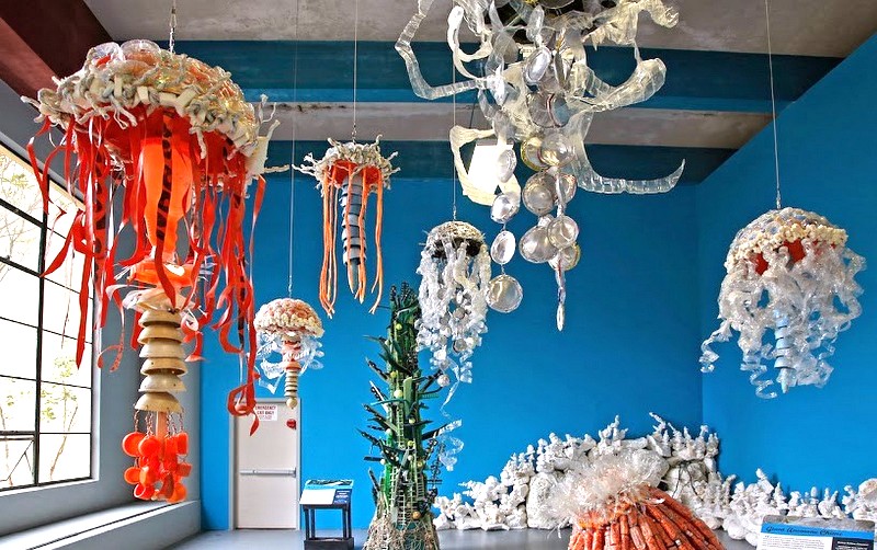 В американском зоопарке появились медузы из мусора
