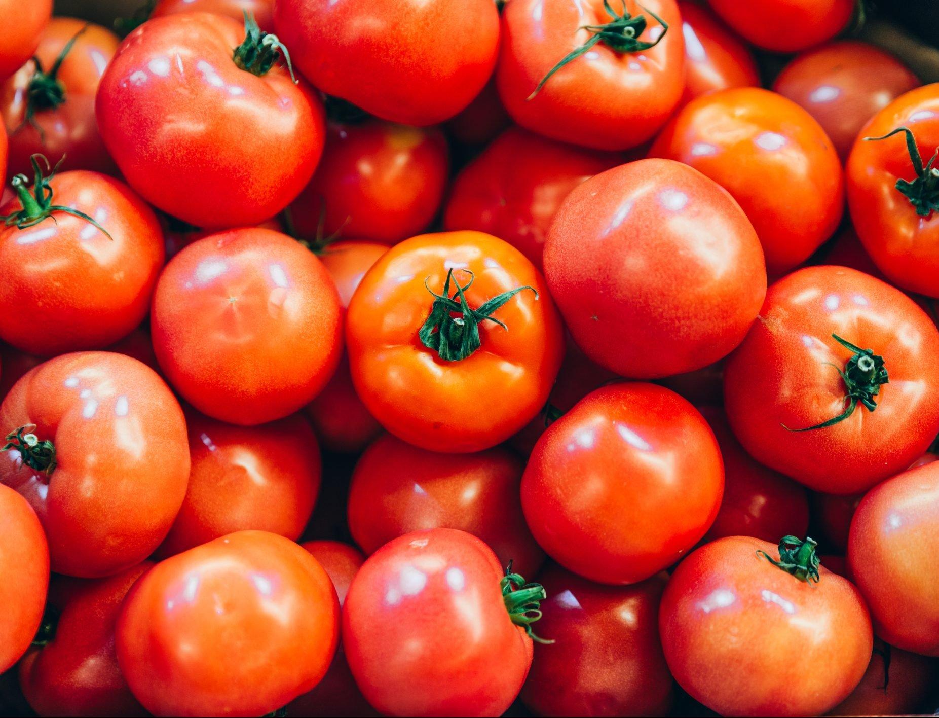 Испанские ученые работают над созданием упаковки из кожуры томатов 
