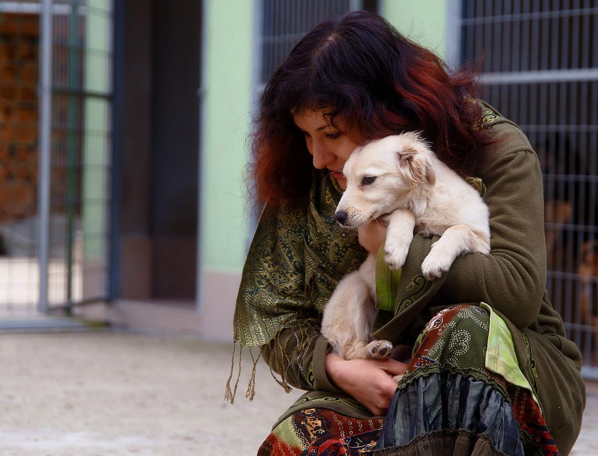 Ко Дню бездомных животных стартовал проект помощи приютам 