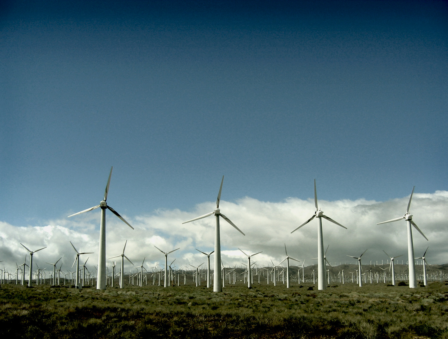 Жители Техаса получат бесплатное электричество за счет энергии ветра