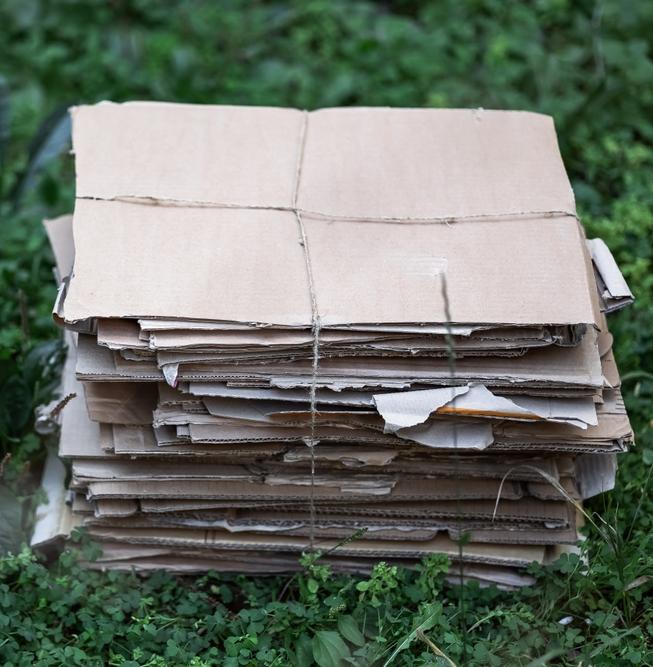 Как жители Москвы могут сократить использование бумаги 