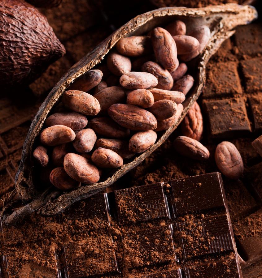 Ferrero будет использовать какао-бобы только из экоустойчивых источников