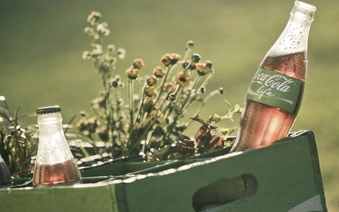 Coca-Cola выпустит биоразлагаемые упаковочные ящики