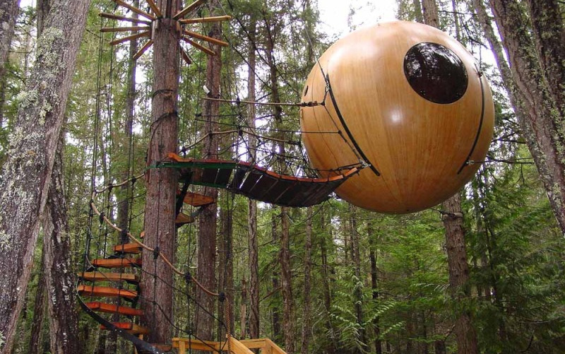 Экоотель на деревьях построят в парке «Сокольники»