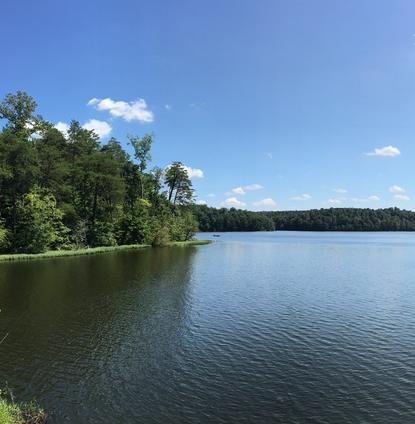 В Татарстане назвали причину исчезновения озер 