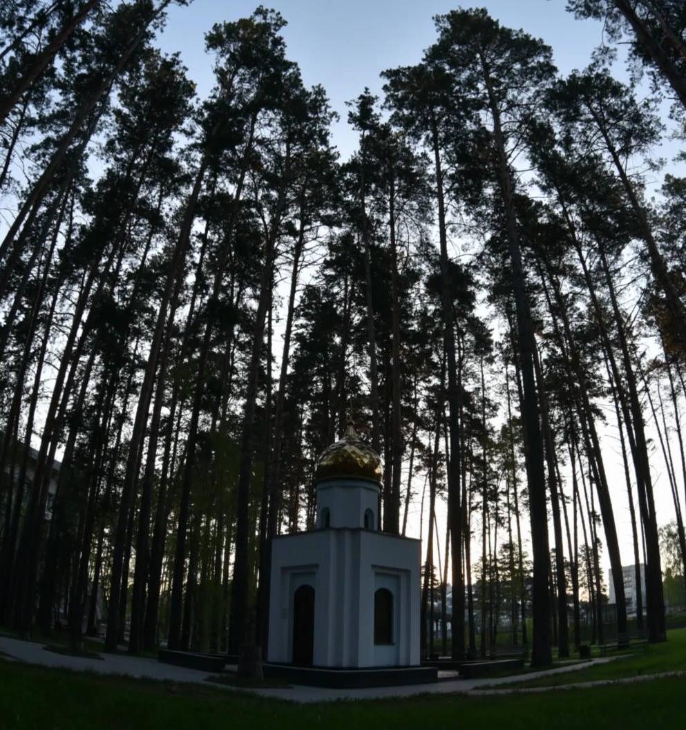 Как активные жители Новосибирска остановили планы мэрии по застройке массива городских лесов