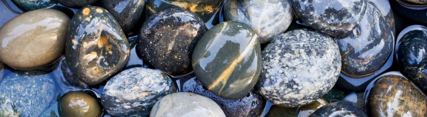 Российские маркетплейсы начали продавать каменных питомцев 