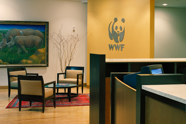 Новый офис WWF в Москве будет полностью «зеленым»