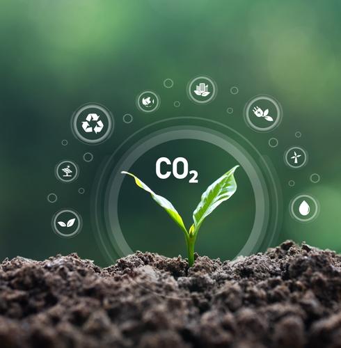 Реальный углеродный след виртуального мира: как снизить?