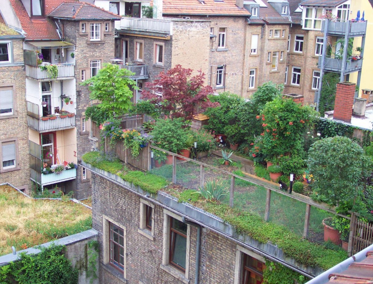 В России могут появиться дома с огородами на крышах